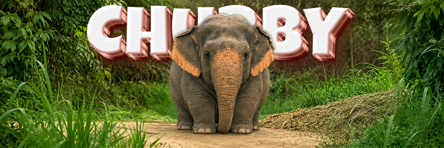 The Chubby Elephant banner